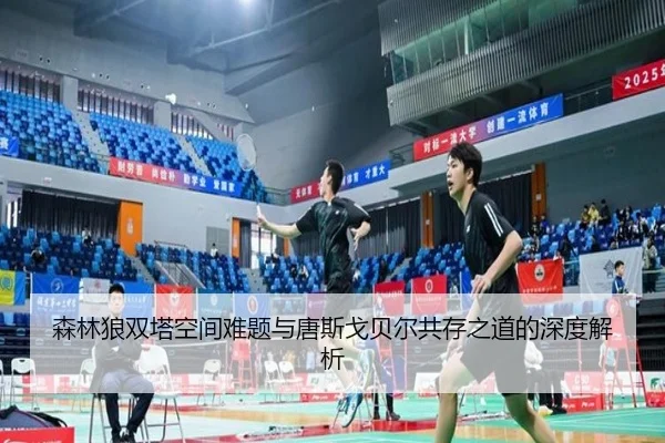 森林狼双塔空间难题与唐斯戈贝尔共存之道的深度解析