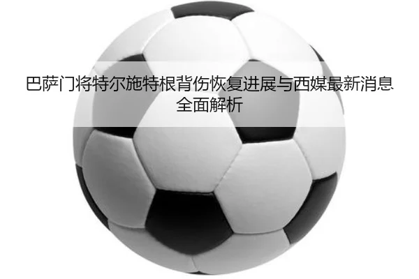 img_1780669338109_1537_1_411.jpg