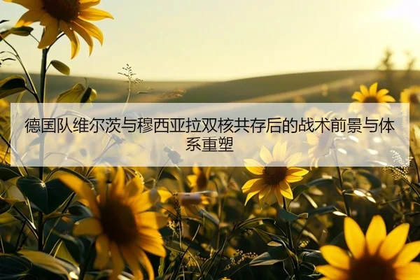 德国队维尔茨与穆西亚拉双核共存后的战术前景与体系重塑